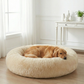 PAW CLOUD