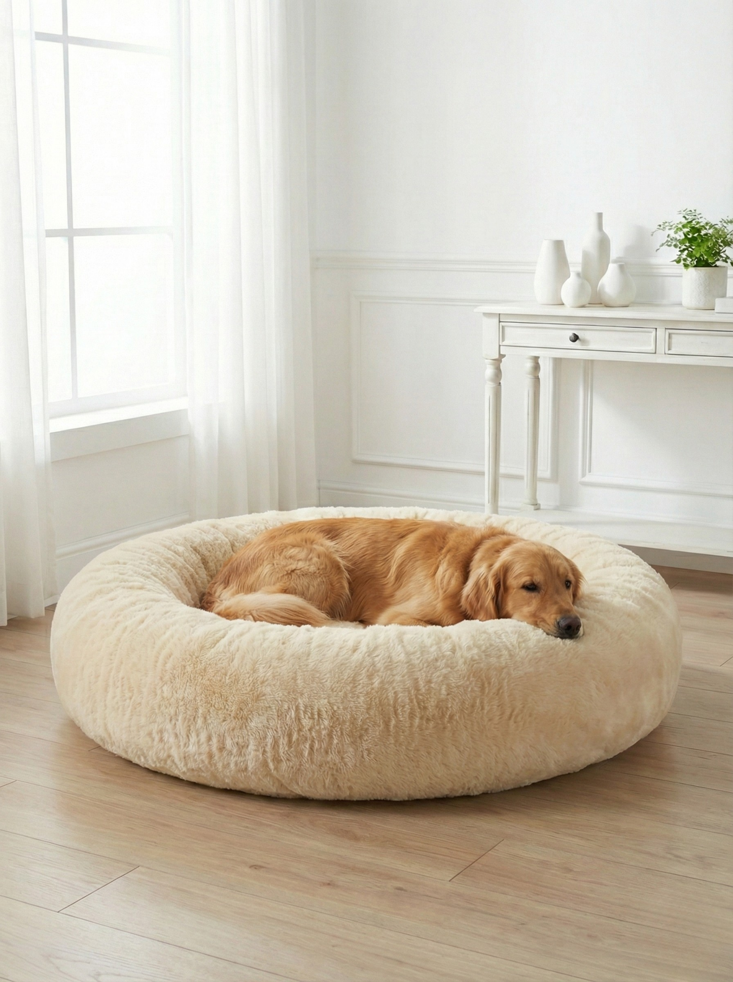 PAW CLOUD