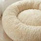 PAW CLOUD