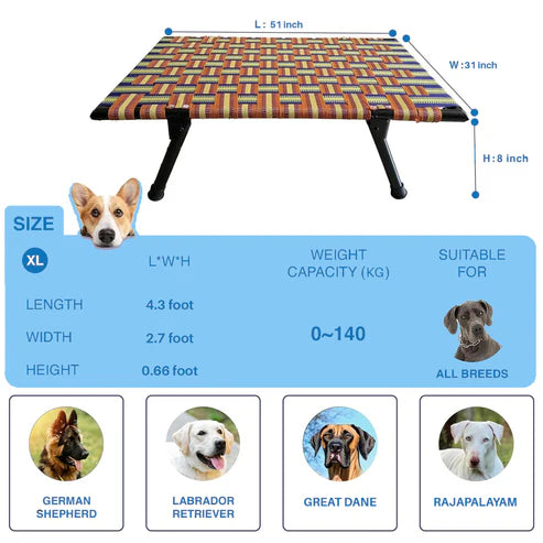Folding Elevated Cat & Dog Bed | All Seasons Comfort with Breathable Nylon Mesh I Anti-Skid & Waterproof