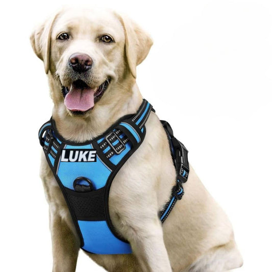 Personalized Dog Harness | Reflective No Pull Harness for All Sizes (Cyan Blue)