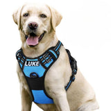 Personalized Dog Harness | Reflective No Pull Harness for All Sizes (Cyan Blue)