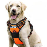 Personalized Dog Harness | Reflective No Pull Harness for All Sizes (Orange)