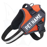 Personalized Reflective Dog Harness | Orange