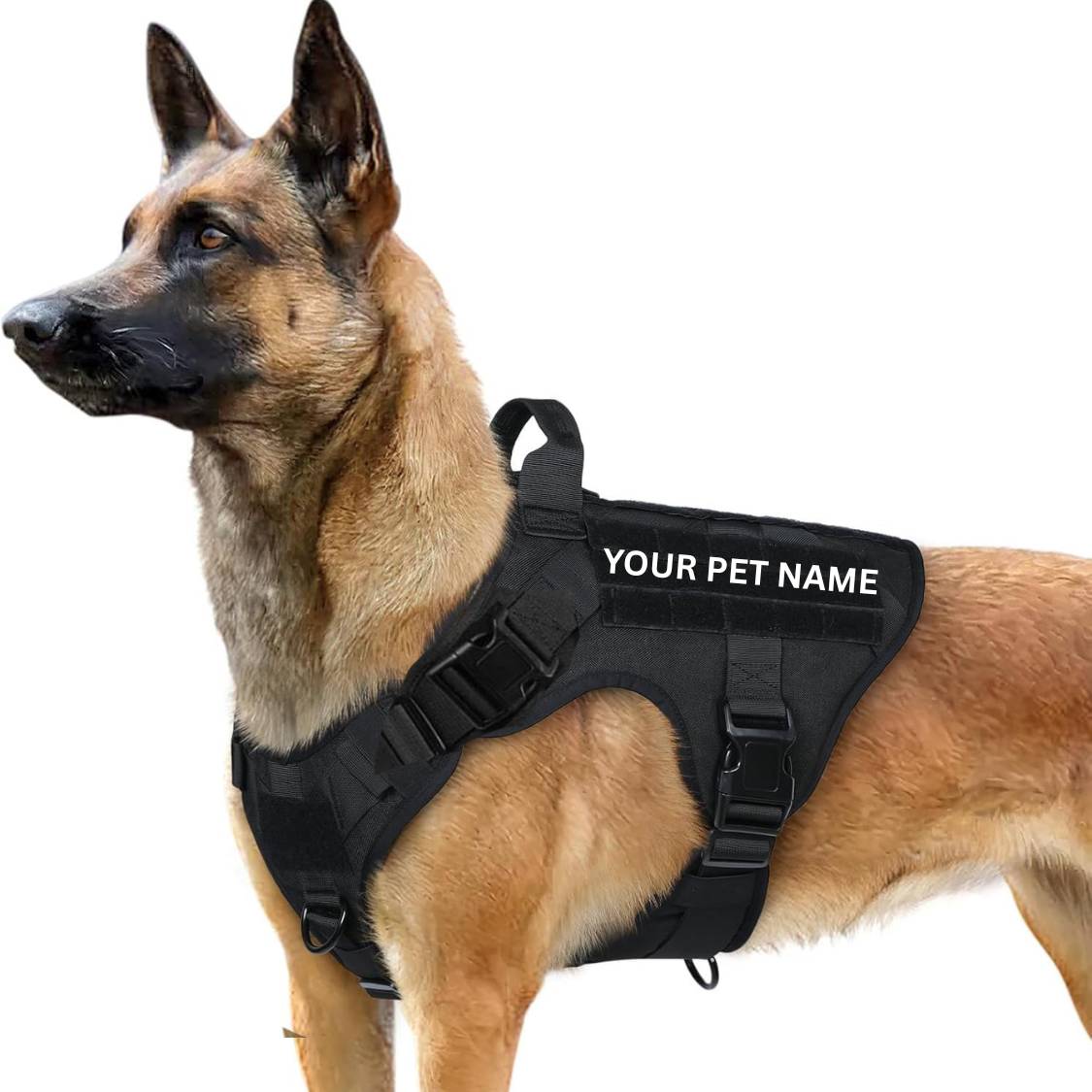 Personalized Black Tactical Dog Harness | For Small, Medium & Large Breeds